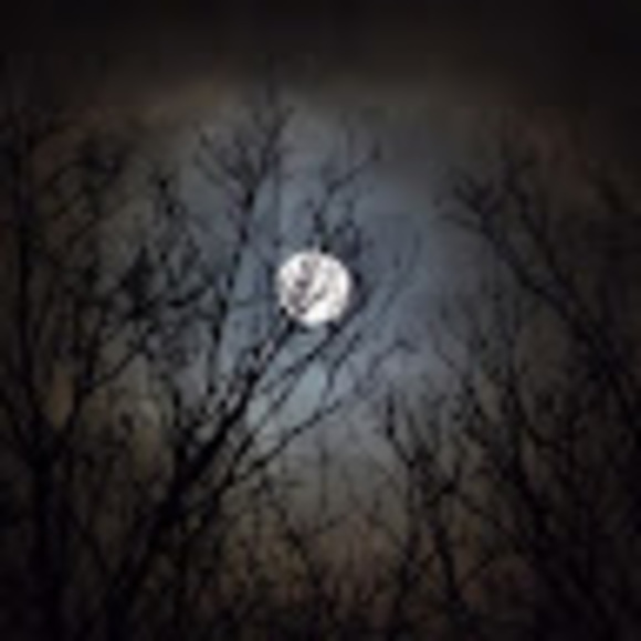 Meet your Posher, Maha - Picture 1 of 1